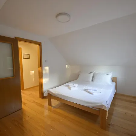 Fruskica Holiday home